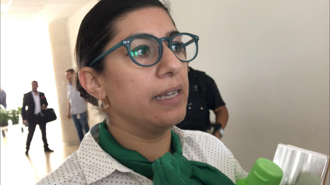 Diputada Vanessa Sánchez Cordero