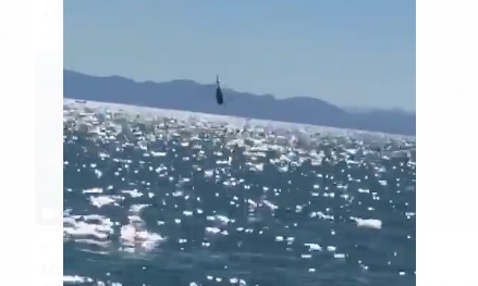 El helicóptero se desplomó en inmediaciones del Golfo de Santa Clara en el Alto Golfo de California. (Milenio Digital)