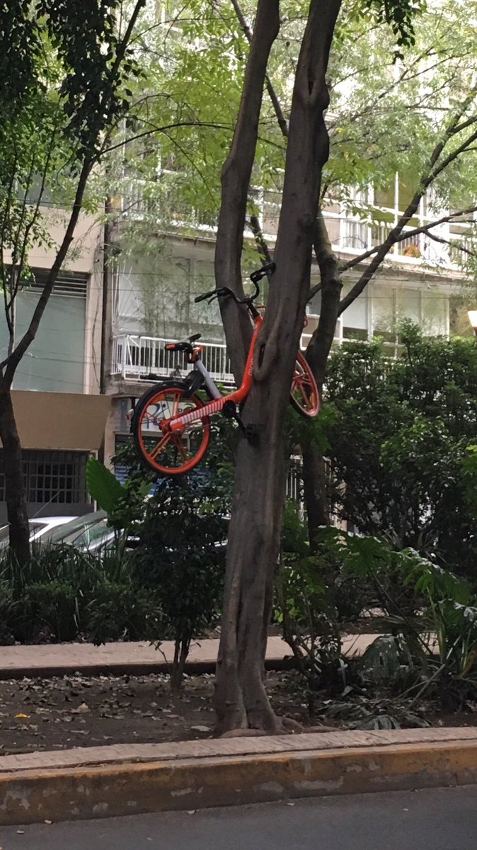 Hay varios reportes de uso incorrecto de las bicicletas de Mobike. (Twitter: @ToniFrancois)
