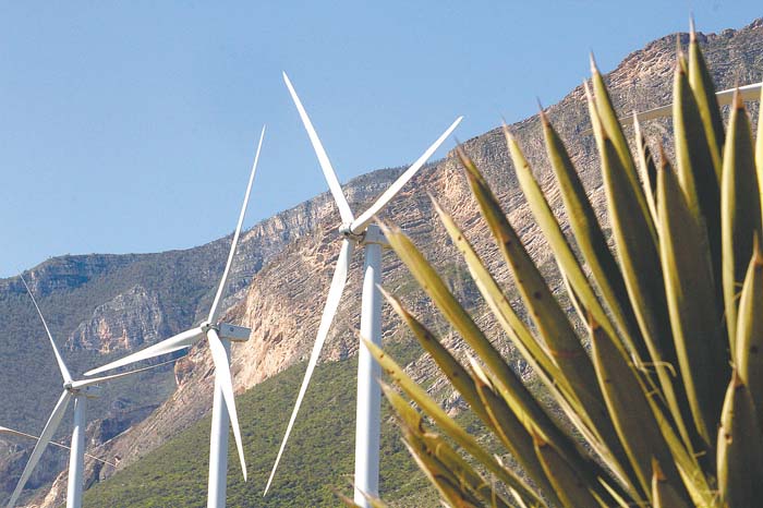 Se espera la promoción de la energía renovable; se han recibido mil 600 millones de dólares para generar energía eólica.