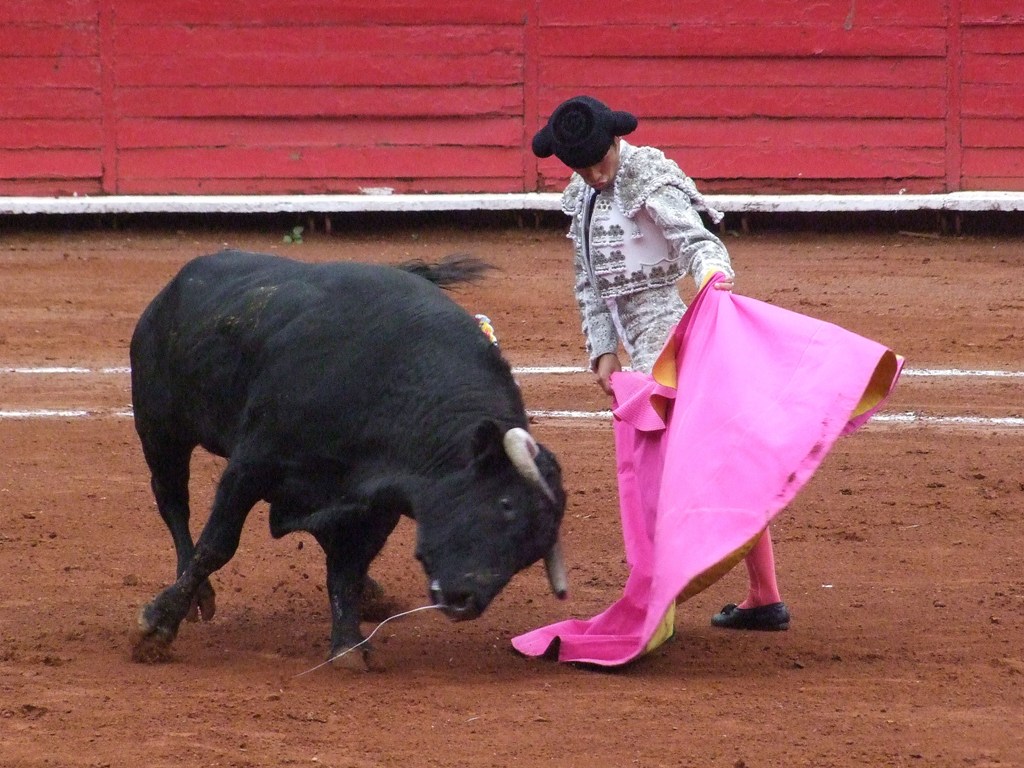 Francisco Martínez (Jorge Matchain)
