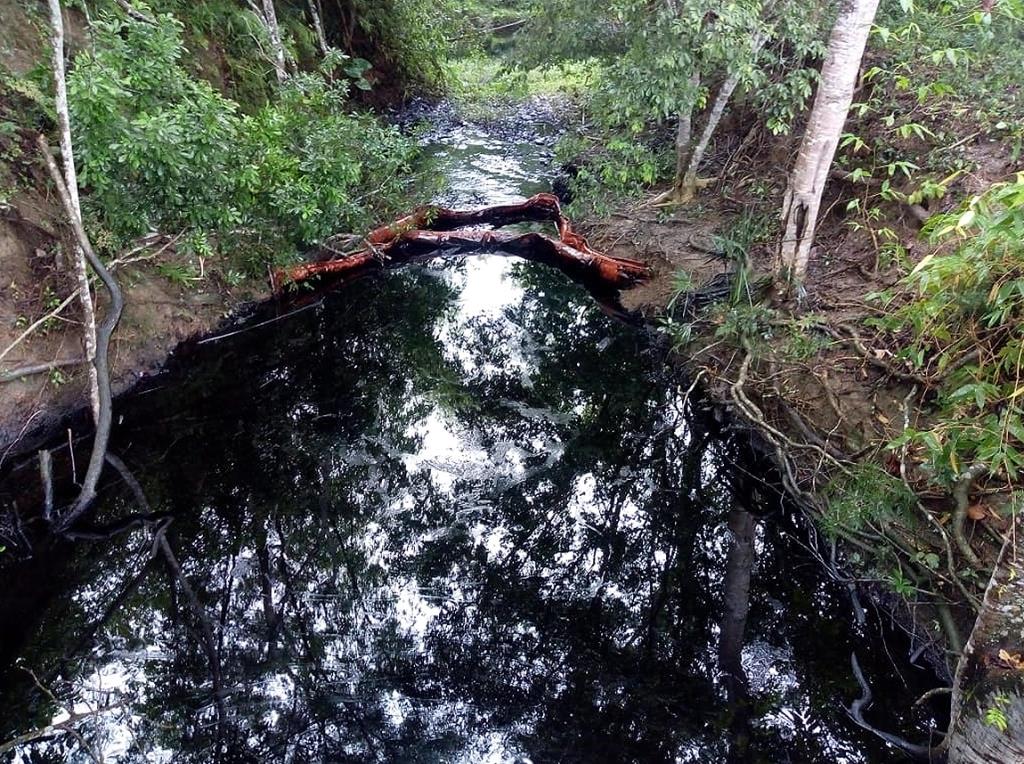 Vecinos indicaron que el derrame provocó un alto grado de contaminación en arroyos y terrenos de siembra (Especial)