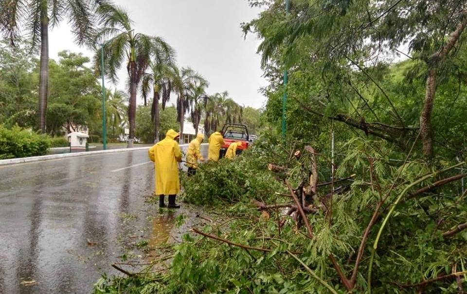 Las autoridades atendieron las afectaciones generadas por las lluvias. (PCGro)