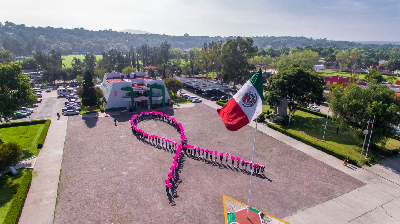 En conmemoración al Día Mundial de la Lucha contra el Cáncer de Mama. (Cortesía)