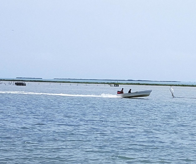 La Subdelegación federal de Pesca convoca al sector productivo a modernizar sus unidades pues serán respaldados con el 50% (Especial)