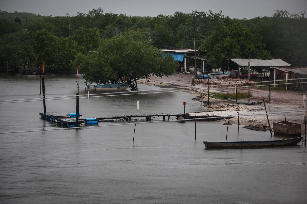 'Willa' se degrada a depresión tropical; dejará lluvias fuertes en Coahuila, Nuevo León, Zacatecas y Durango. (Araceli López | Milenio)