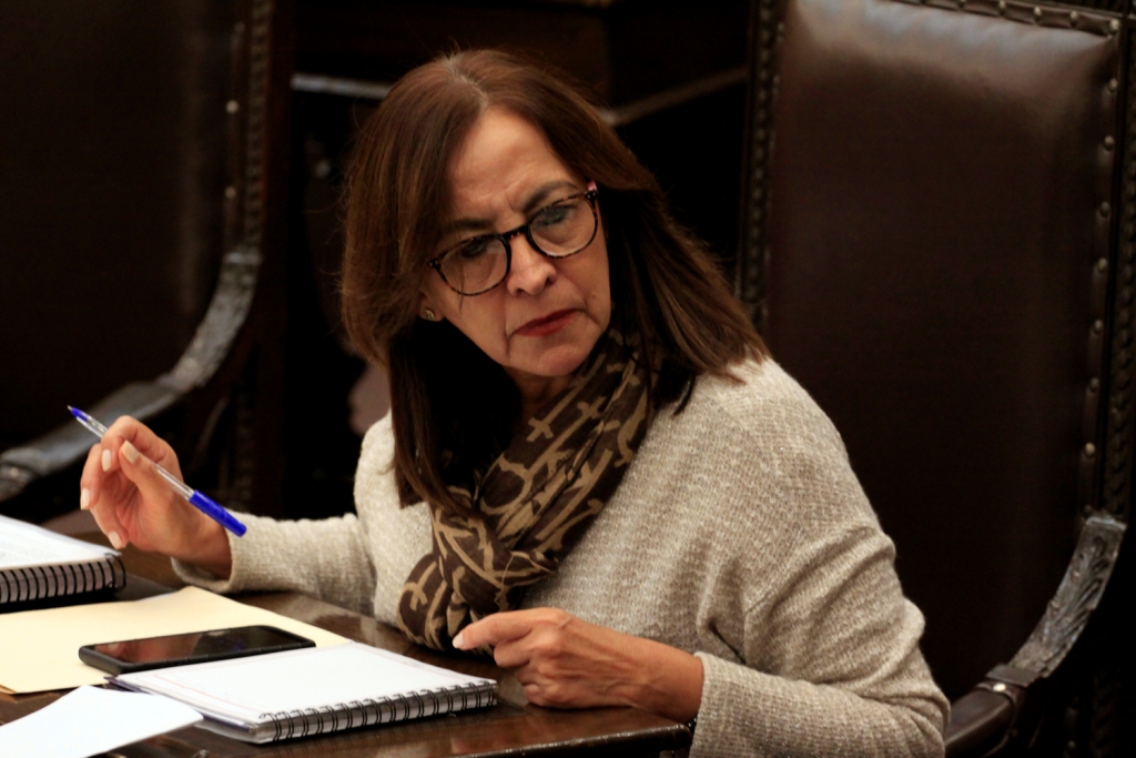 Rocío García Olmedo, diputada por el PRI (Miguel Romero)