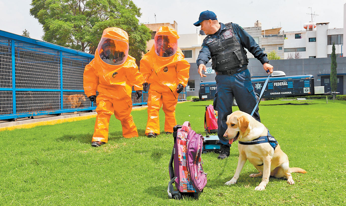 Uno de los agentes ‘perrones’ durante el entrenamiento en la Unidad Canina de la División de Fuerzas Federales. (Javier Ríos)