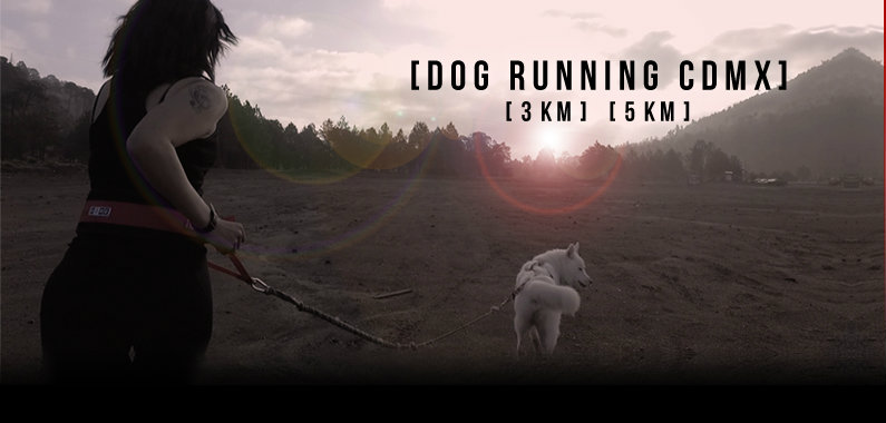 La carrera Dog Running llega a la Ciudad de México (agendatlon.com)