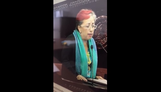 Tras un discurso de la tradición del Xantolo, Martínez aprovechó su uso del micrófono para interpretar la melodía.