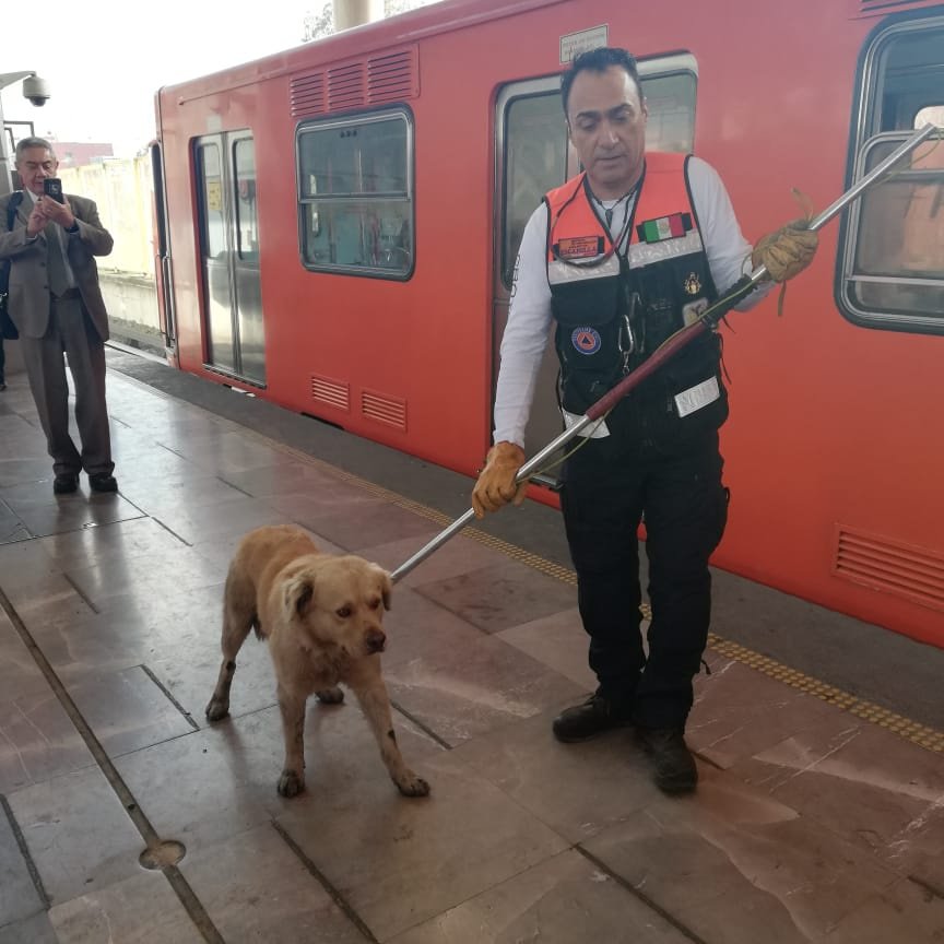 Foto tomada de @MetroCDMX