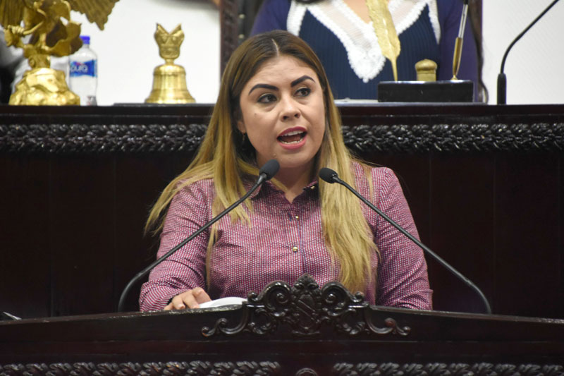 La coordinadora del PES en la Cámara hidalguense, Viridiana Aceves.  (Cortesía)