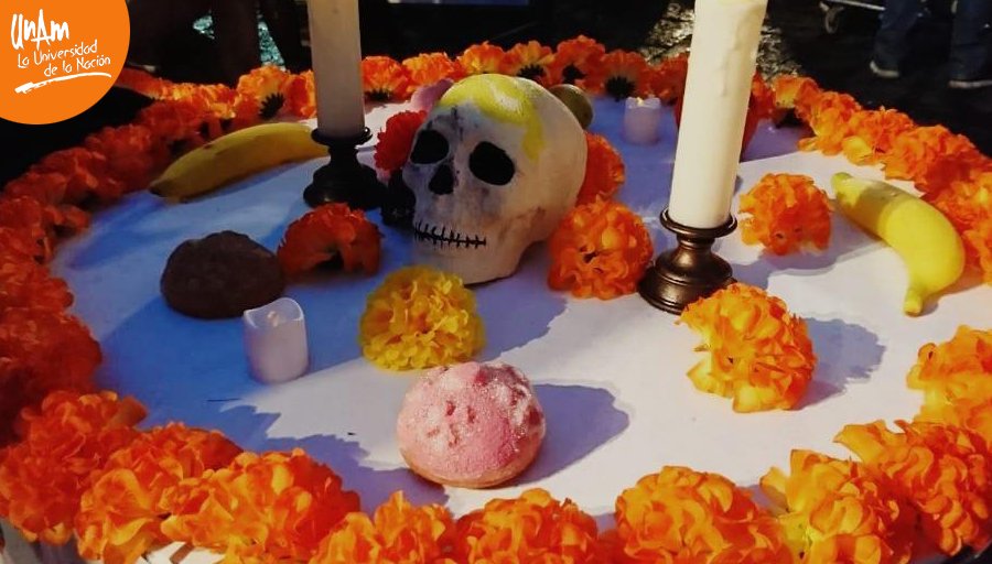 La Megaofrenda UNAM estará abierta desde el 1 al 4 de noviembre en la plaza de Santo Domingo. (Cuartoscuro)
