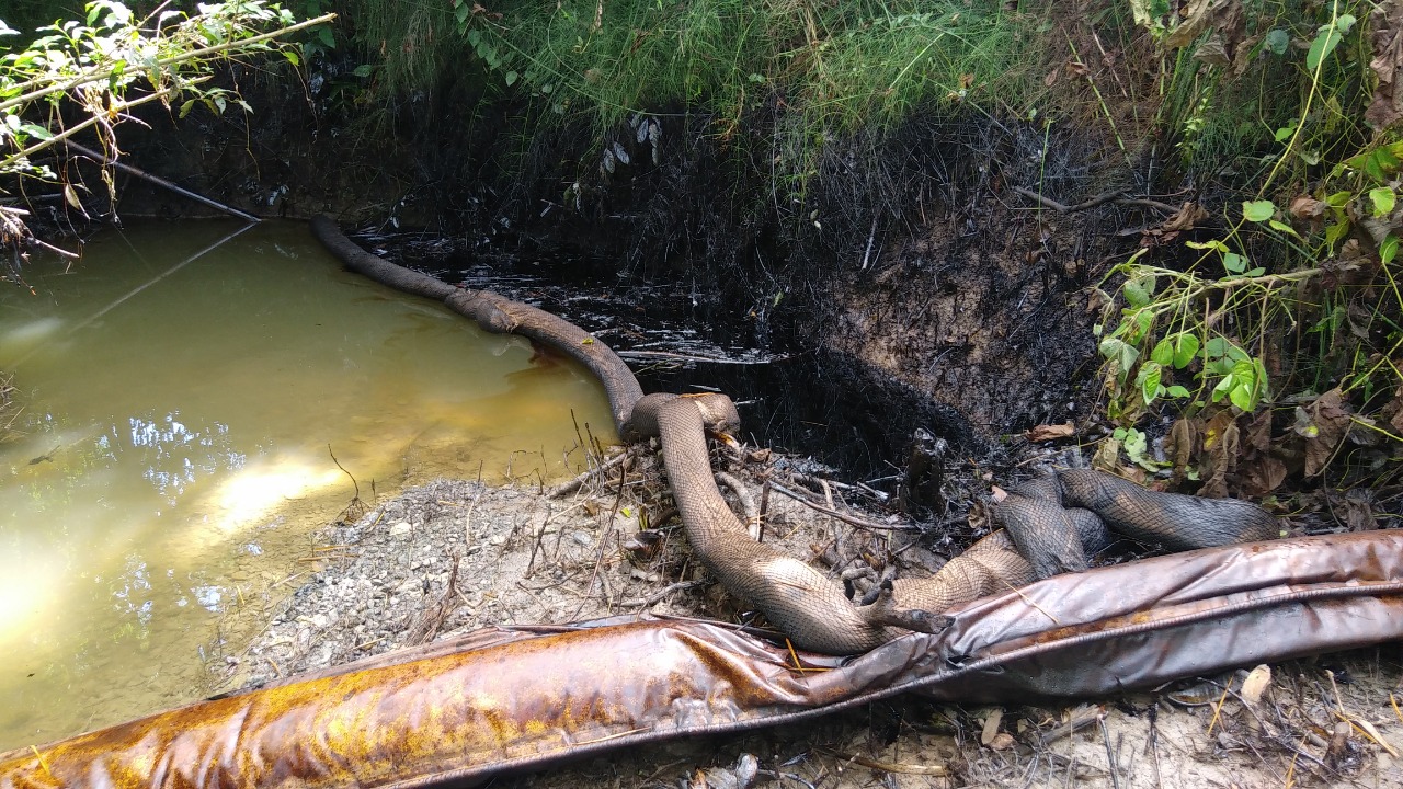Pese a que tramos han sido saneados, la contaminación continúa a lo largo de los afluentes (Especial)