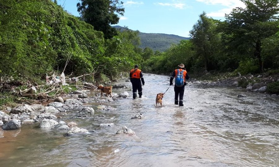 Brigadistas buscan e el hombre desaparecido restante con ayuda de perros. (@PC_Guerrero)