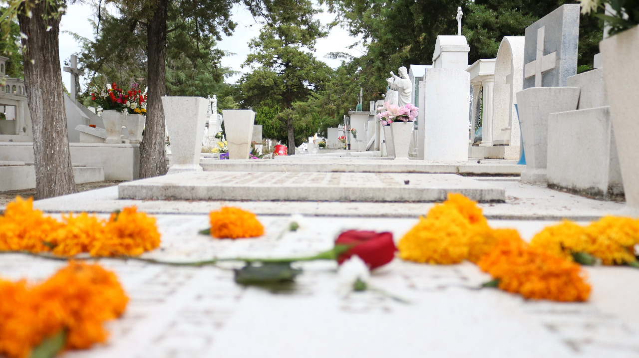 Se aprecian flores sobre las tumbas