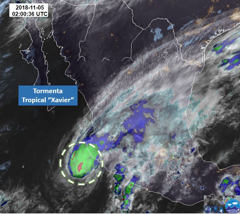 La tormenta 'Xavier' se localiza  a 155 km al oeste-suroeste de Manzanillo, Colima. (Twitter:@conagua_clima)