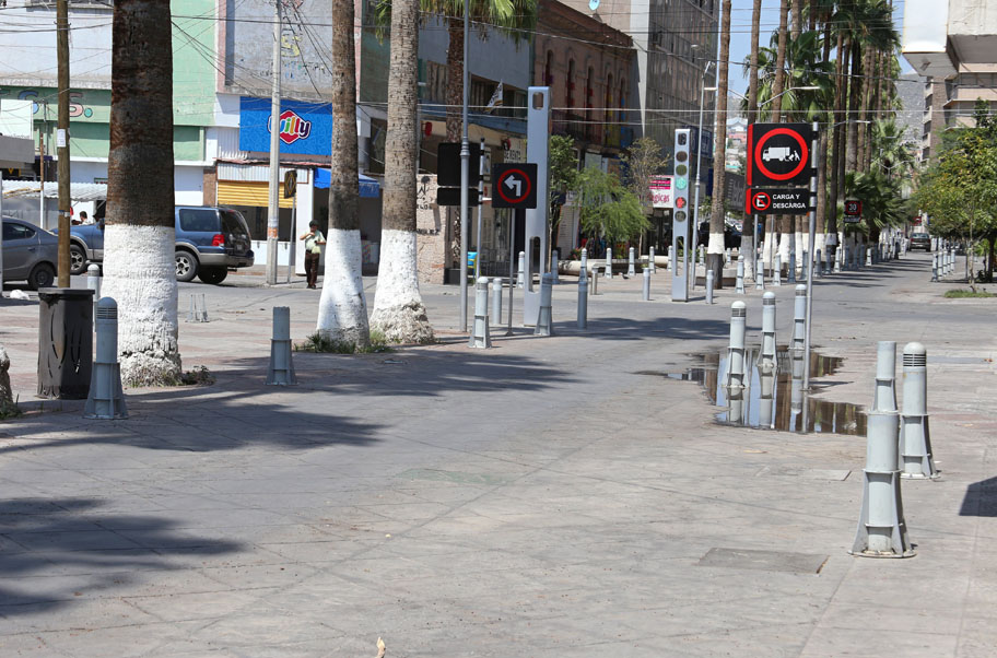 Entre las acciones para el mejoramiento del paseo es la colocación de árboles. (Milenio Digital)