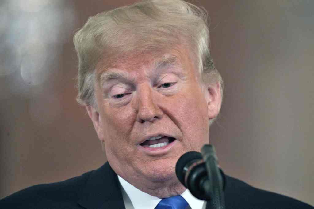 Donald Trump habló sobre los resultados de la elección de ayer. (AFP)