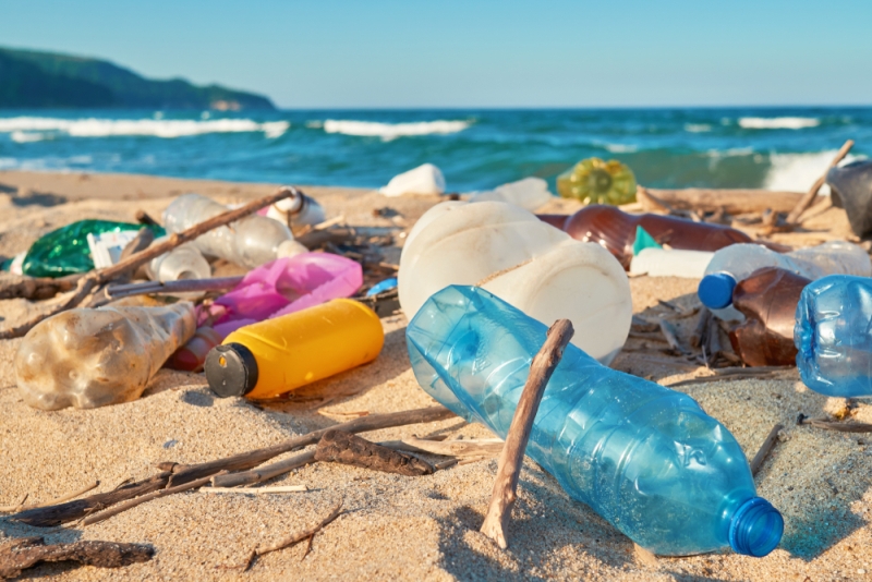 La proliferación sin control de artículos de un solo uso es responsable del daño al medio ambiente. (Shutterstock)