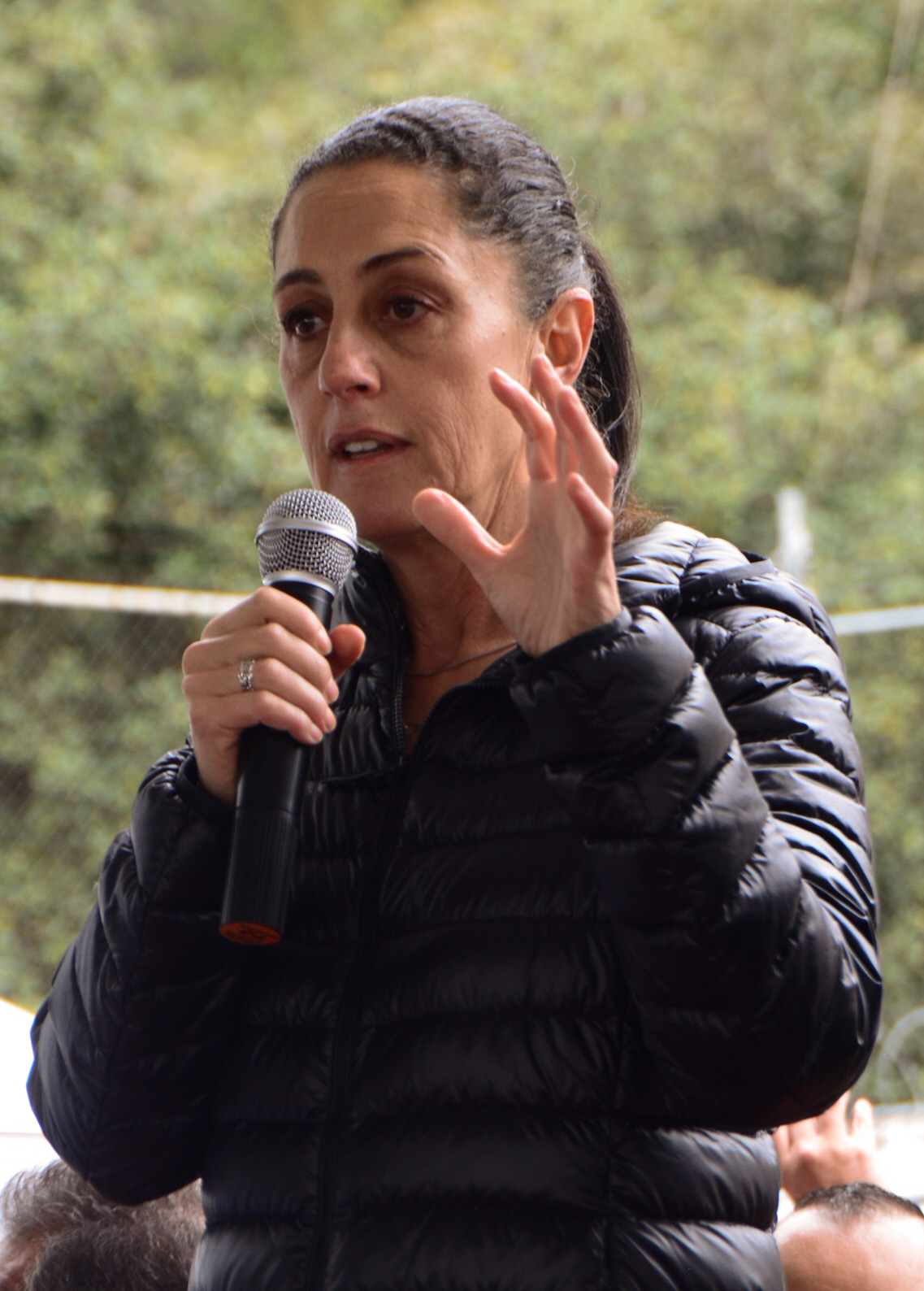 Sheinbam dijo que de ser necesario pedirá la intervención de la Contraloría. (Cuartoscuro)