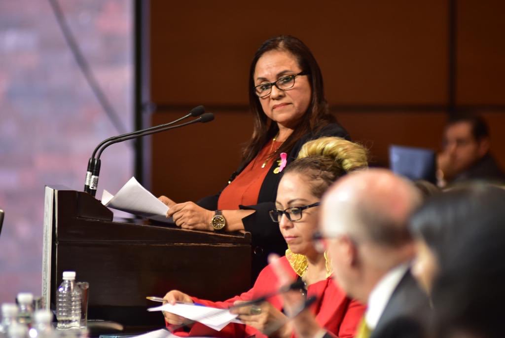 La diputada de Morena, Carmen Medel Palma. (Twitter | @DraMedelPalma)