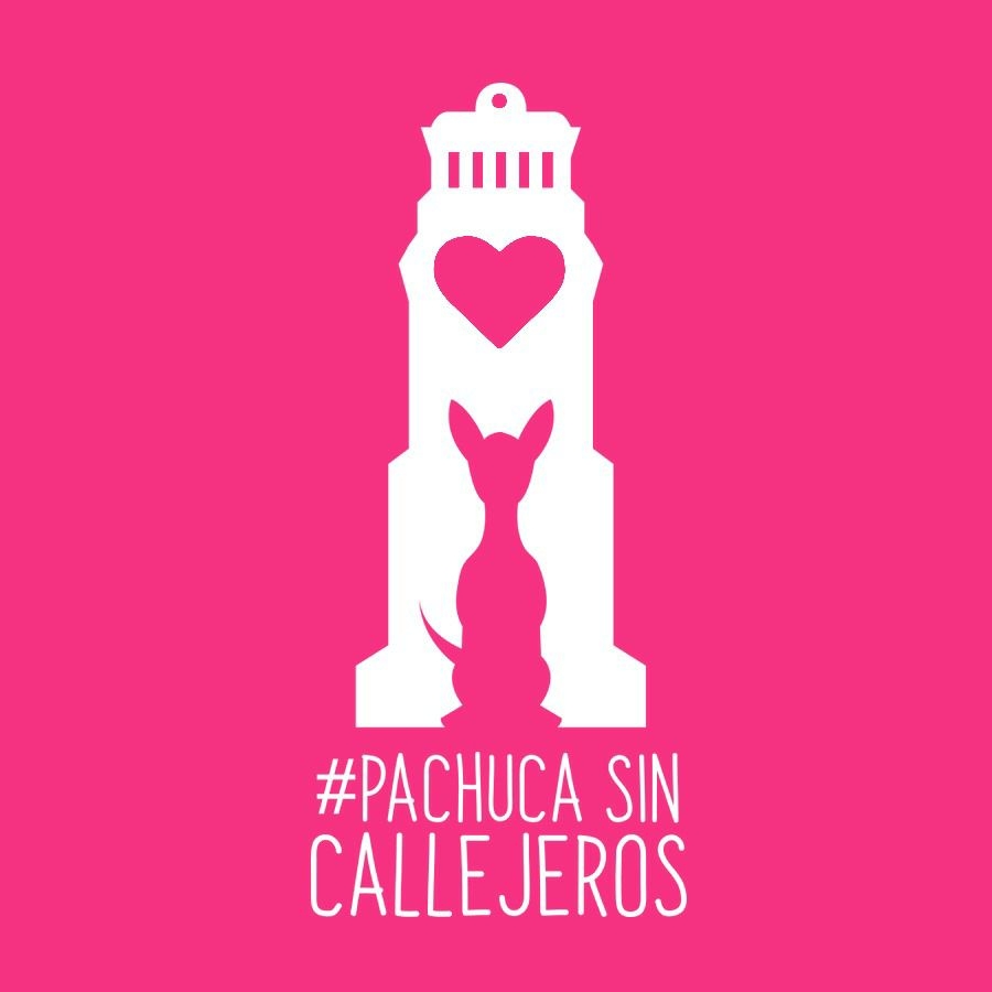 La campaña Pachuca Sin Callejeros inició labores en 2018. (Cortesía)