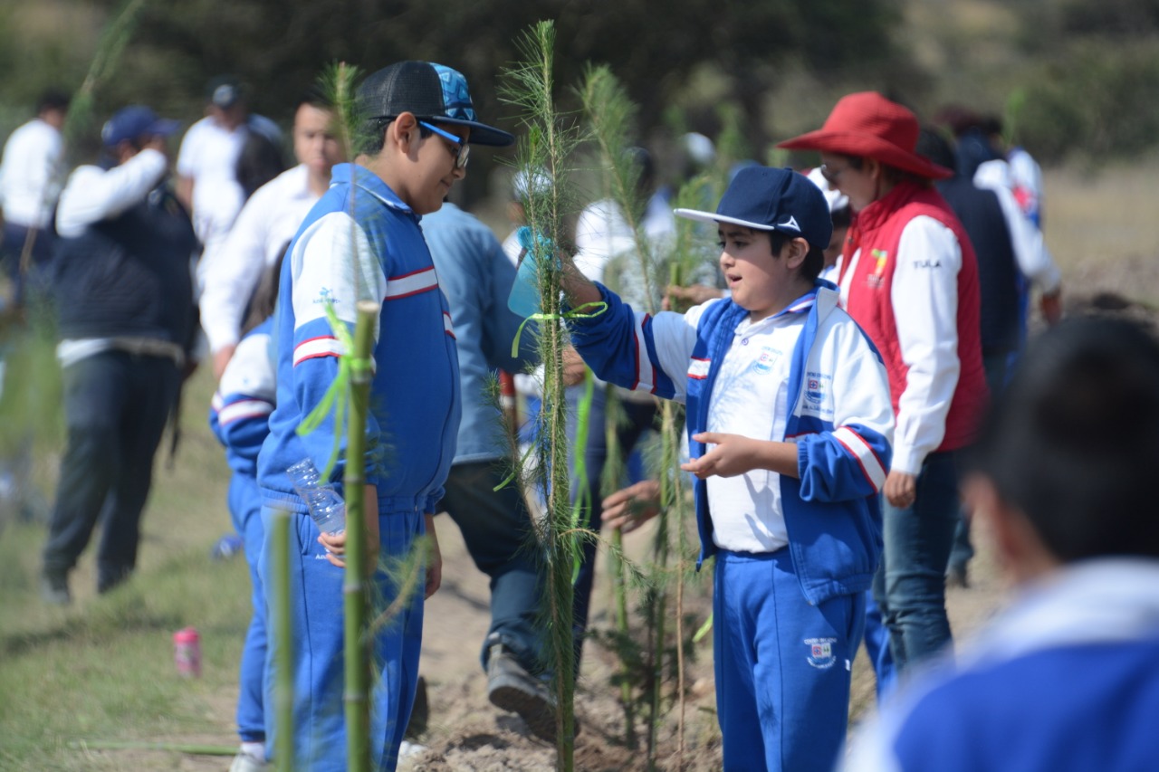Comunidad escolar reforesta predio en Tula. (Cortesía)