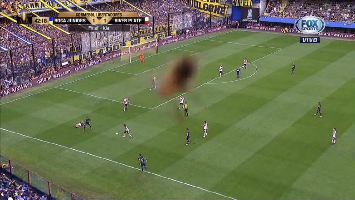Insecto aparece en la Final de la Copa Libertadores (Especial)