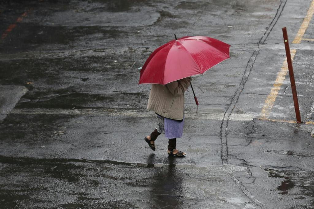 Desde esta madrugada hay lluvia ligera en la Ciudad de México. (Octavio Hoyos)