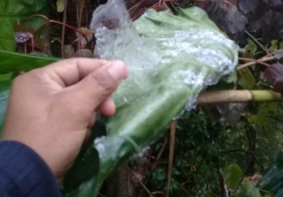 En la Sierra Nororiental, se presentan lluvias en toda la región (@PC_Estatal)