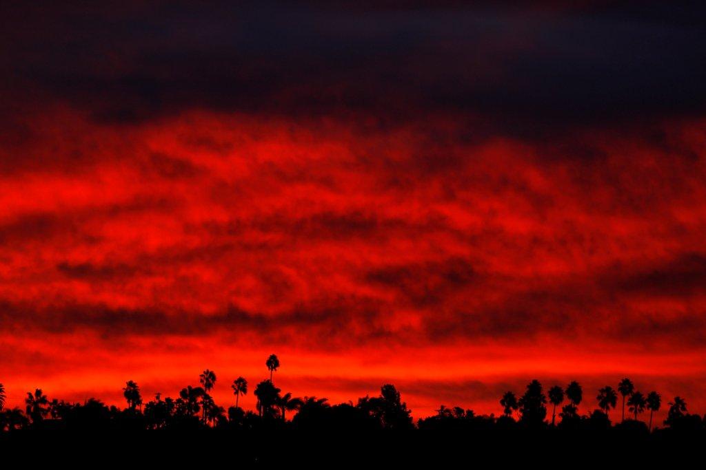 Las llamas por los incendios en California han dejado 66 muertos. (Reuters)