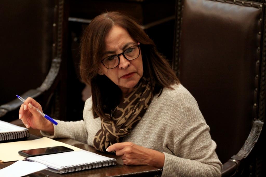 Rocío García Olmedo, presidenta de la Comisión de Igualdad de Género (Agencia Enfoque)