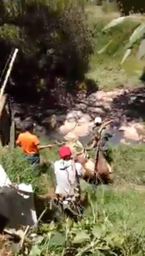 Profepa multa por caza ilegal en Acatlán. (Cortesía)