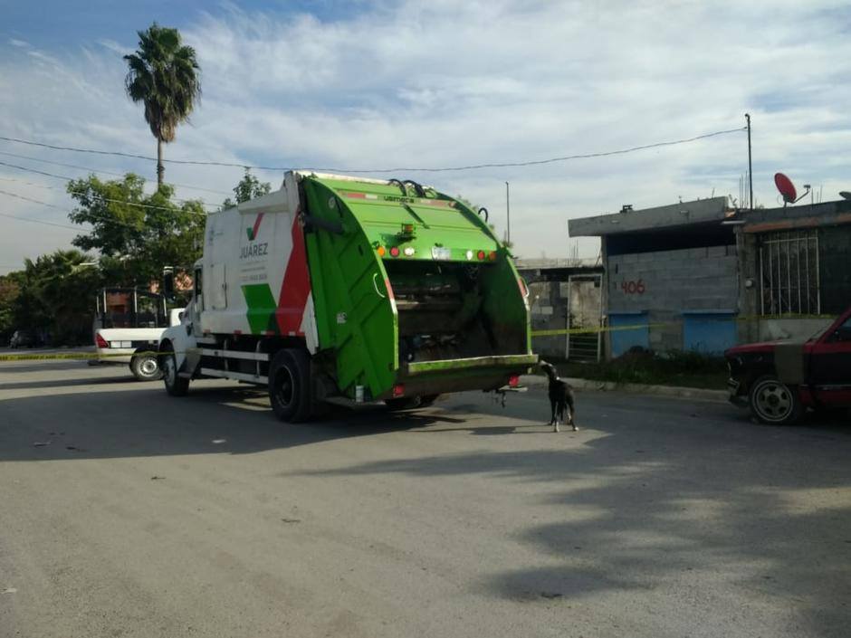 Empleados municipales del camión recolector de basura lo encontraron entre los desechos que compactaban. (Foto: Especial)