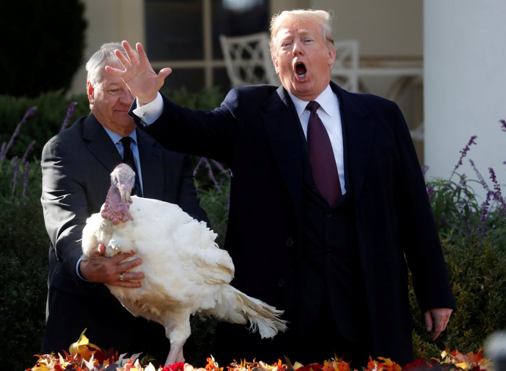 Donald Trump cumplió con la tradición de indultar a dos pavos. Reuters