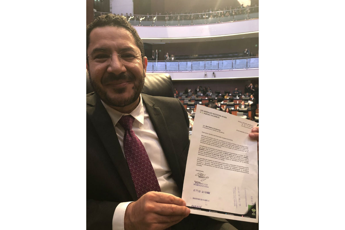 Martí Batres presumió la carta que Morrisey le envío. (Twitter  @martibatres)