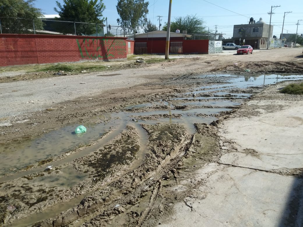 Esta problemática ha detonado problemas gastrointestinales, infecciones y alergias. (Lucero Sánchez)