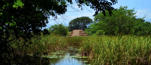 El sindicato del INAH pidió a AMLO suspender la consulta por el Tren Maya haya que no haya estudios de impacto ambiental/Cuartoscuro.