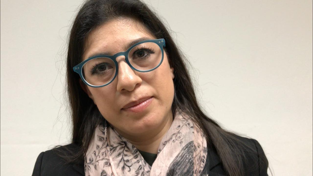 Vanessa Sánchez Cordero, coordinadora de los diputados del PV