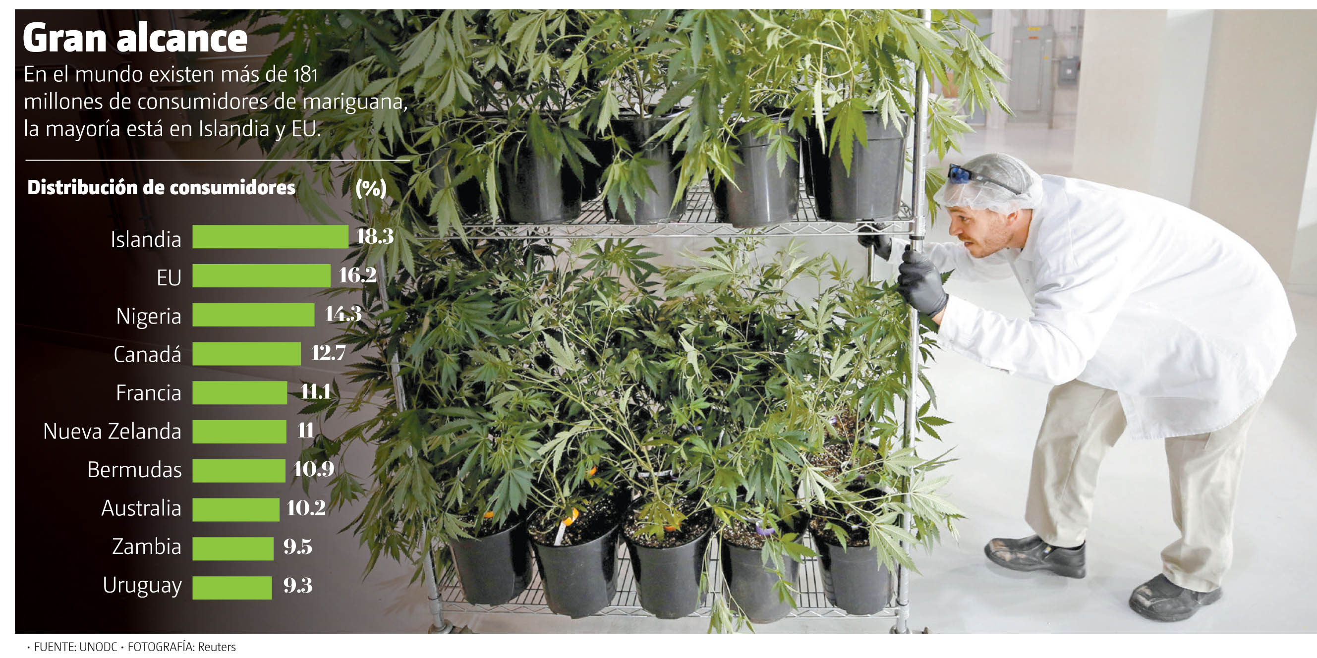 En el mundo existen más de 181 millones de consumidores de mariguana, la mayoría está en Islandia y EU.  (Reuters / Gráfico: MILENIO)