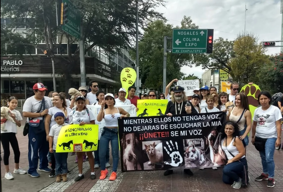 Los activistas y ciudadanos exigieron que los animales sean considerados por la ley como seres sintientes. (Perla Gómez)
