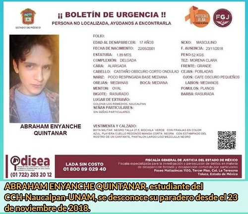Ficha de búsqueda. (Especial)
