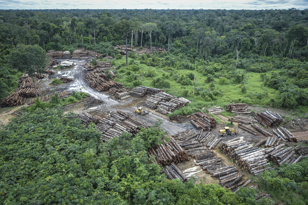 Brasil- Esta foto muestra un área deforestada en tierras indígenas de Pirititi en la cuenca amazónica. AP