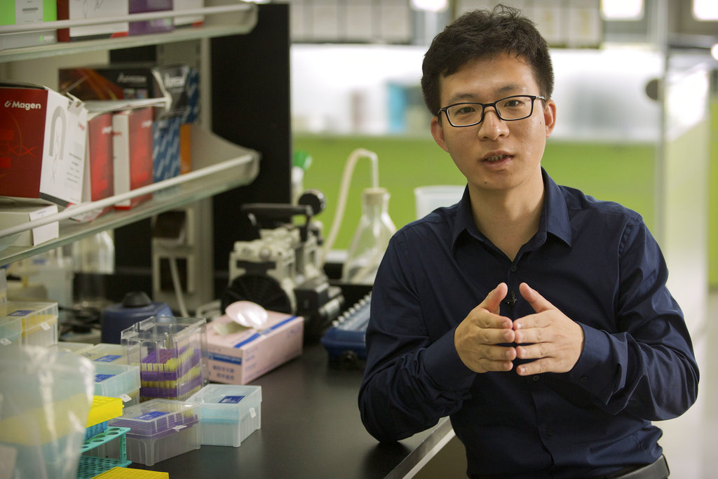 El investigador He Jiankui dijo que alteró embriones para 7 parejas durante tratamientos de fertilidad, y ha obtenido un embarazo. (AP)