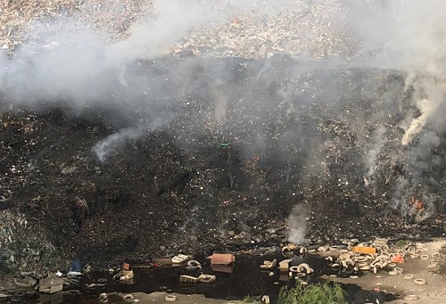 Se consumen miles de toneladas de basura. (Especial)
