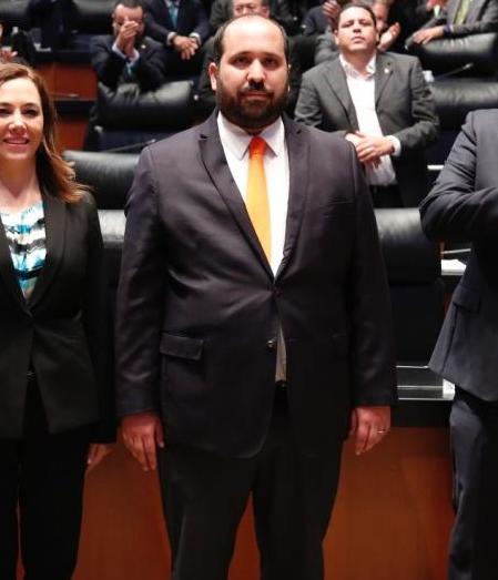 Carlos Bonnin Erales desempeñó varios puestos en la administración pública como coordinador de asesores, así como asesor de la SHCP y de la Secretaría de Salud