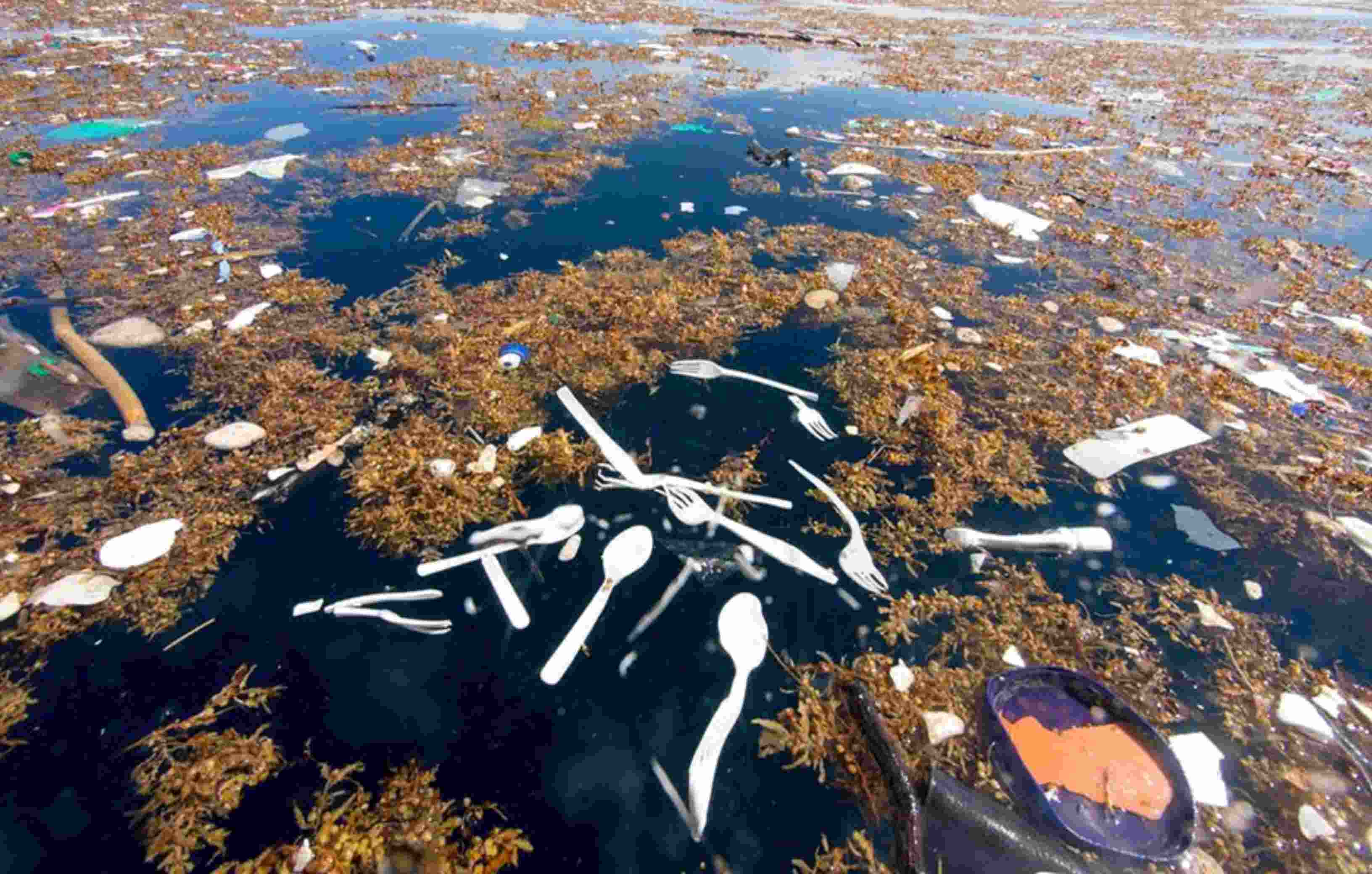 Los científicos del proyecto "The Ocean Cleanup" y de distintas universidades hablan de 1.8 billones de partículas de plástico.