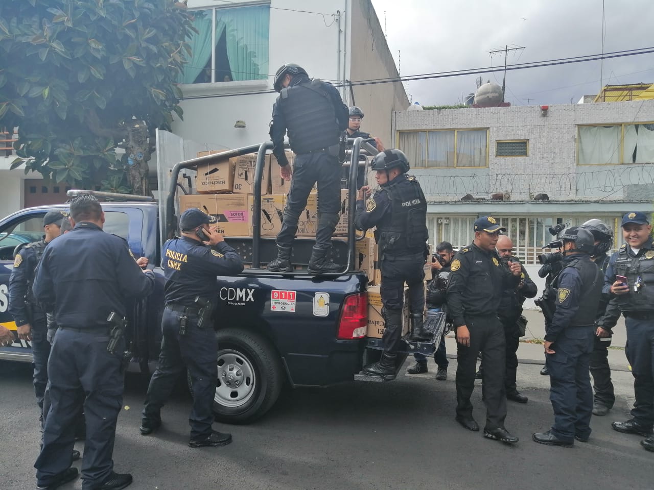 Los elementos de la SSP decomisaron 81 animales en el domicilio de la colonia Narvarte.
