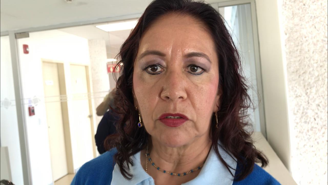Martha  Delgado Zarate, secretaria de la Comisión de Educación del Congreso del estado